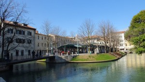Treviso012  