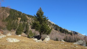 Val Bregaglia010