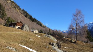 Val Bregaglia013